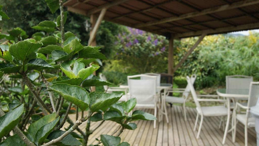 Matisses Hotel & Spa Santa Rosa de Cabal Εξωτερικό φωτογραφία